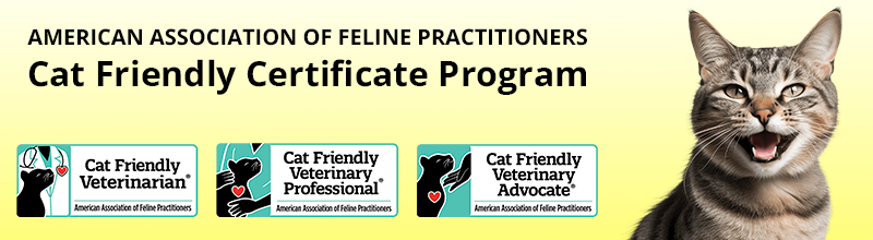 Cat Friendly Certificate Program