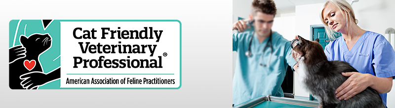 Cat Friendly Veterinary Professional