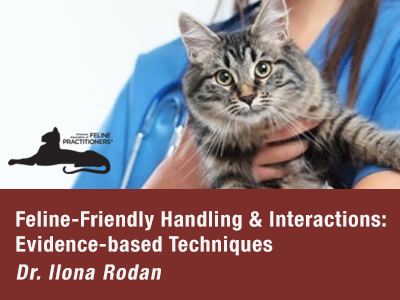 Feline Friendly Handling