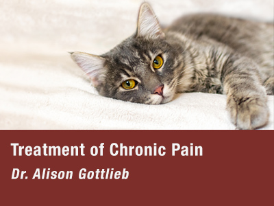 Treatment of Chronic Pain