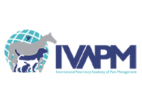 IVAPM