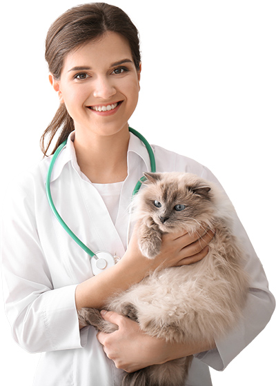 Vet with patient