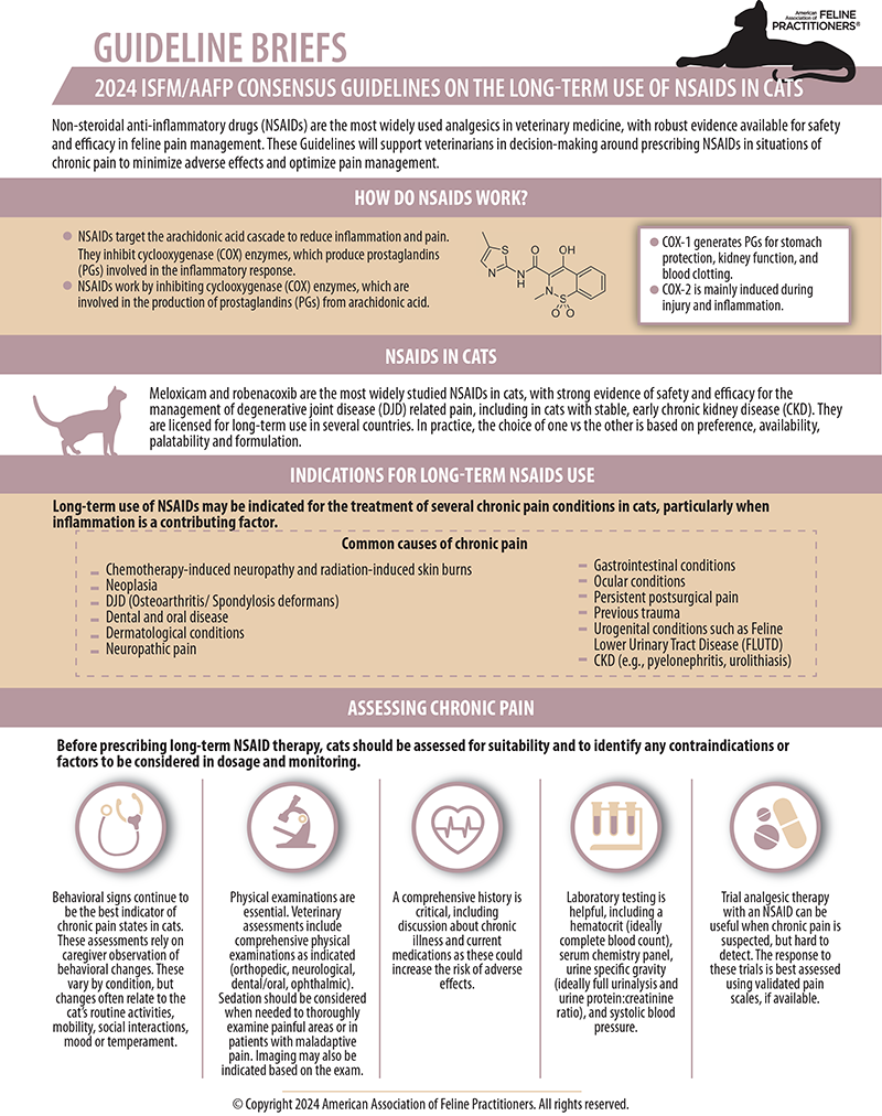 Guideline Brief Preview